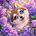 Bébé Husky caché dans les lilas