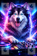 le dj malamute